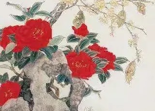 ������������ͼ˵��ʮ�Ľ���